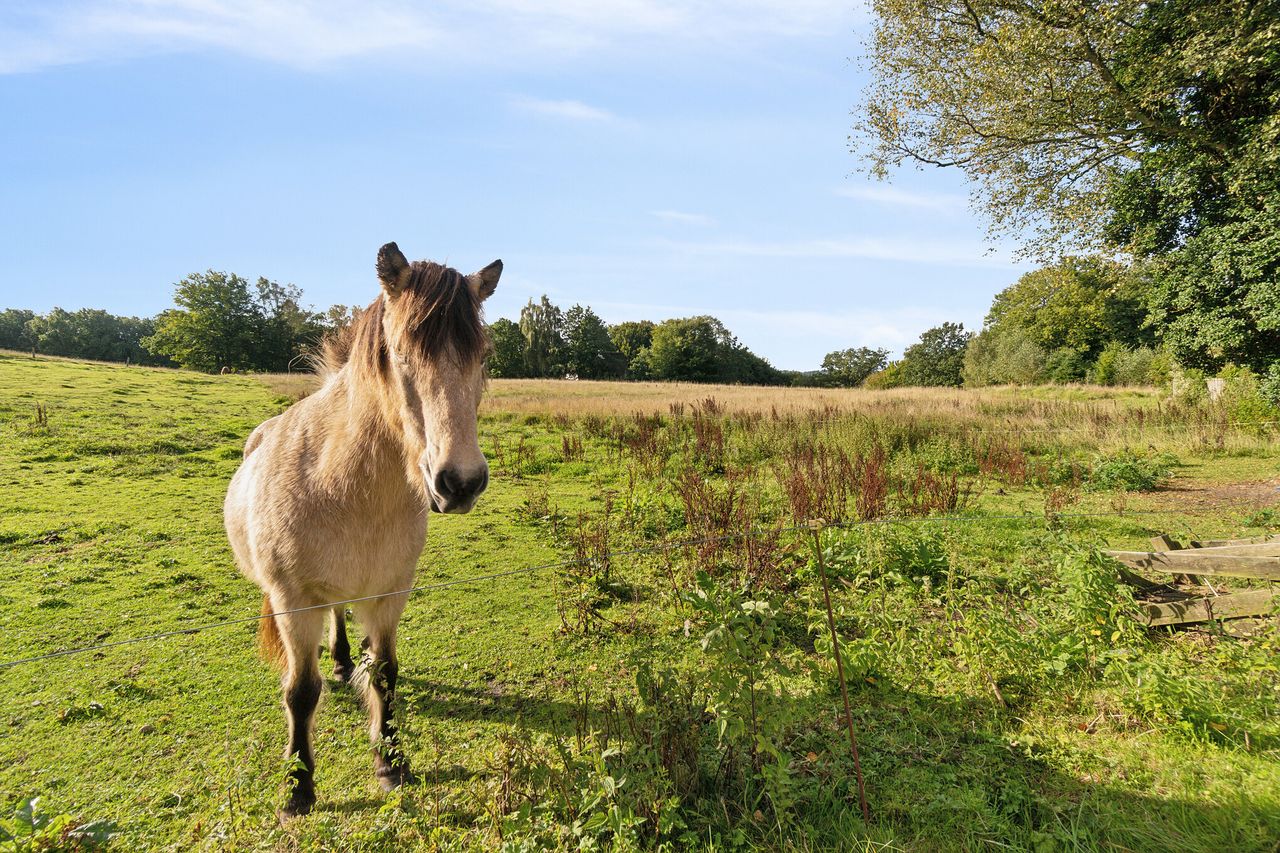 image 02